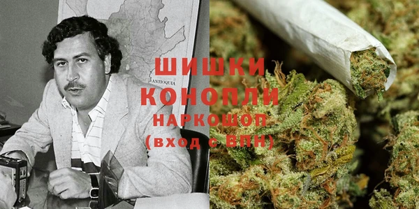 шишки Козельск