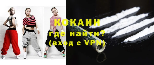 сатива Кодинск