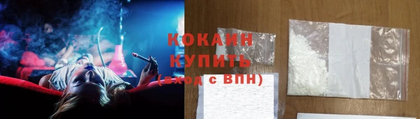 сатива Кодинск