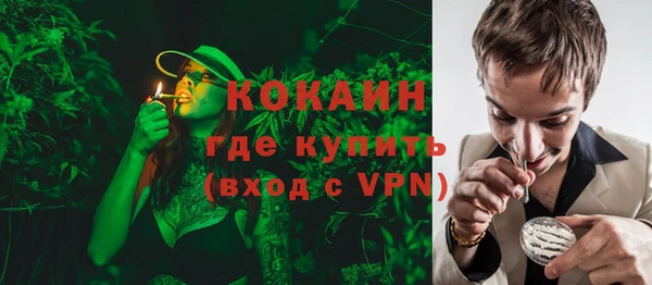 шишки Козельск