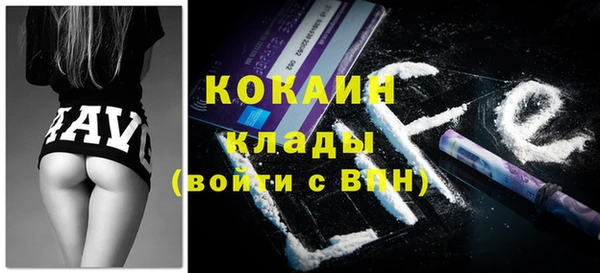 шишки Козельск