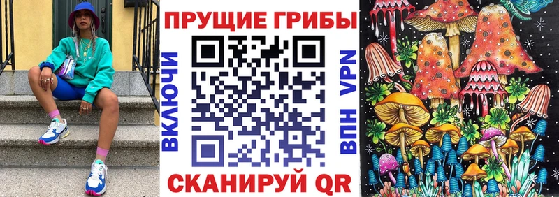 Псилоцибиновые грибы Psilocybine cubensis Муравленко