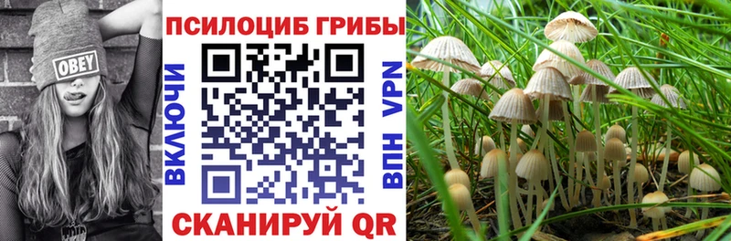 Купить где  Муравленко  Псилоцибиновые грибы ЛСД 