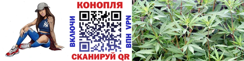 Купить где  Муравленко  МАРИХУАНА SATIVA & INDICA 